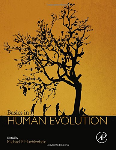 Basics In Human Evolution 1st Edition Muehlenbein Michael P