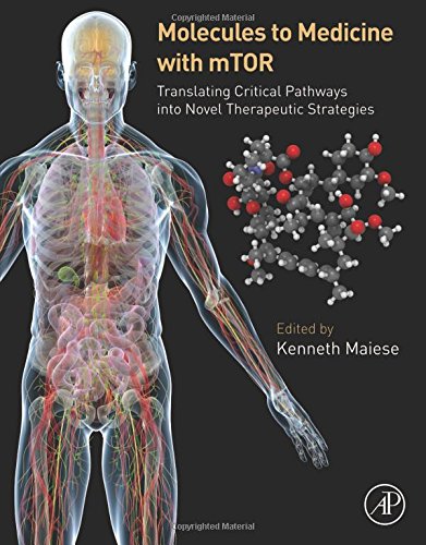 Molecules To Medicine With Mtor Translating Critical Pathways Of The Mammalian Target Of Rapamycin Into Novel Therapeutic Strategies 1st Edition Kenneth Maiese Md