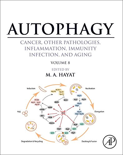 Autophagy Cancer Other Pathologies Inflammation Immunity Infection And Aging Volume 8 Human Diseases 1st Edition Hayat