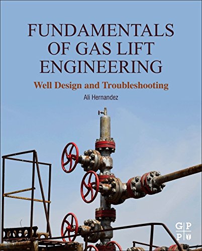 Fundamentals Of Gas Lift Engineering Well Design And Troubleshooting 1st Edition Hernandez