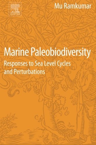 Marine Paleobiodiversity Responses To Sea Level Cycles And Perturbations 1st Edition Ramkumar