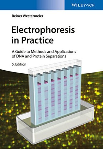 Electrophoresis In Practice A Guide To Methods And Applications Of Dna And Protein Separations Fifth Edition Westermeier