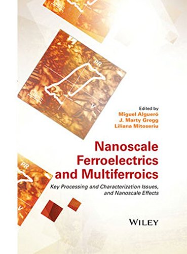 Nanoscale Ferroelectrics And Multiferroics Key Processing And Characterization Issues And Nanoscale Effects 1st Edition Miguel Alguero