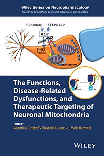 The Functions Diseaserelated Dysfunctions And Therapeutic Targeting Of Neuronal Mitochondria 1st Edition J Marie Hardwick