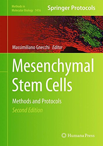 Mesenchymal Stem Cells Methods And Protocols 2nd Ed 2016 Massimiliano Gnecchi