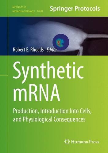 Synthetic Mrna Production Introduction Into Cells And Physiological Consequences Robert E Rhoads
