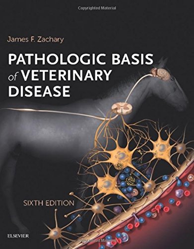 Pathologic Basis Of Veterinary Disease Expert Consult 6e 6th Edition James F Zachary Dvm Phd