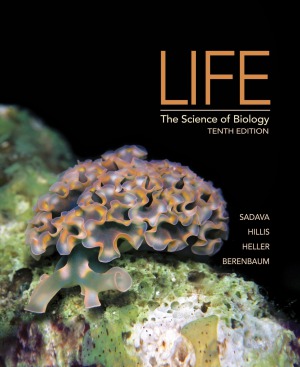 Life The Science Of Biology 10th Edition David Sadava