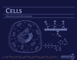 Cells Molecules And Mechanisms E V Wong