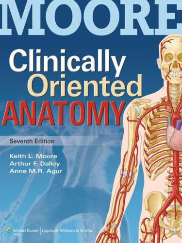 Clinically Oriented Anatomy 7th Edition 7th Edition Keith L Moore