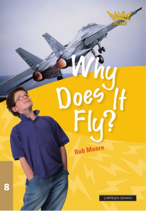 Why Does It Fly And Other Questions About Flight Damms Galaxy 8 Rob Moore