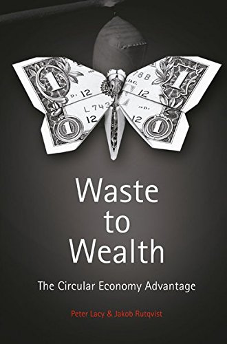 Waste To Wealth The Circular Economy Advantage Peter Lacy Jakob Rutqvist