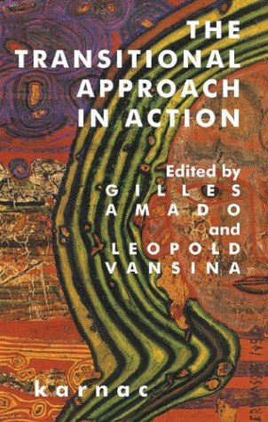 The Transitional Approach In Action 1st Edition Gilles Amado