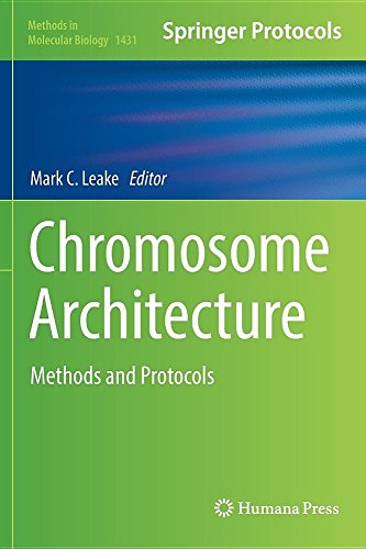Chromosome Architecture Methods And Protocols Mark C Leake
