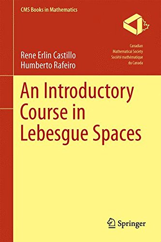An Introductory Course In Lebesgue Spaces 1st Ed 2016 Rene Erlin Castillo