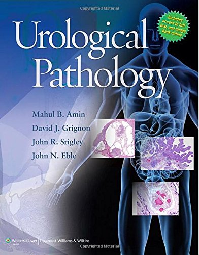 Urological Pathology 1 Harpsc Mahul B Amin John Eble Md David Grignon Md