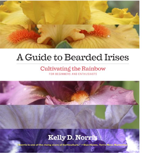 A Guide To Bearded Irises Cultivating The Rainbow For Beginners And Enthusiasts Kelly Norris