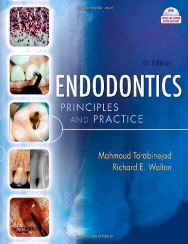 Endodontics Principles And Practice 4e 4th Edition Mahmoud Torabinejad Dmd Msd Phd