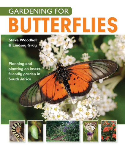 Gardening For Butterflies Planning And Planting An Insectfriendly Garden In South Africa Gray