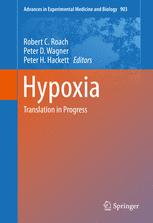 Hypoxia Translation In Progress 1st Edition Robert C Roach