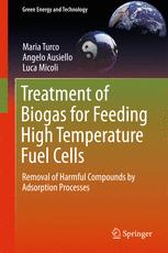 Treatment Of Biogas For Feeding High Temperature Fuel Cells Removal Of Harmful Compounds By Adsorption Processes 1st Edition Maria Turco