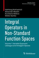 Integral Operators In Nonstandard Function Spaces Volume 1 Variable Exponent Lebesgue And Amalgam Spaces 1st Edition Vakhtang Kokilashvili