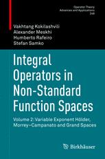 Integral Operators In Nonstandard Function Spaces Volume 2 Variable Exponent Hlder Morreycampanato And Grand Spaces 1st Edition Vakhtang Kokilashvili