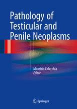 Pathology Of Testicular And Penile Neoplasms 1st Edition Maurizio Colecchia Eds