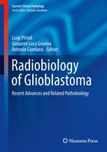 Radiobiology Of Glioblastoma Recent Advances And Related Pathobiology 1st Edition Luigi Pirtoli