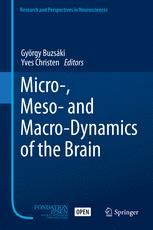 Micro Meso And Macrodynamics Of The Brain 1st Edition Gyrgy Buzski