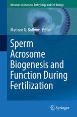Sperm Acrosome Biogenesis And Function During Fertilization 1st Edition Mariano G Buffone Eds