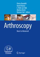 Arthroscopy Basic To Advanced 1st Edition Pietro Randelli David Dejour