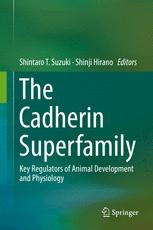 The Cadherin Superfamily Key Regulators Of Animal Development And Physiology 1st Edition Shintaro T Suzuki