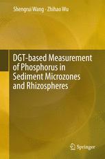Dgtbased Measurement Of Phosphorus In Sediment Microzones And Rhizospheres 1st Edition Shengrui Wang