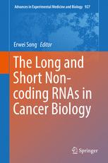 The Long And Short Noncoding Rnas In Cancer Biology 1st Edition Erwei Song Eds