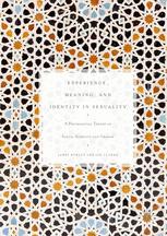 Experience Meaning And Identity In Sexuality A Psychosocial Theory Of Sexual Stability And Change 1st Edition James Horley