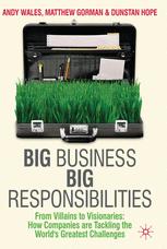 Big Business Big Responsibilities From Villains To Visionaries How Companies Are Tackling The Worlds Greatest Challenges 1st Edition Andy Wales