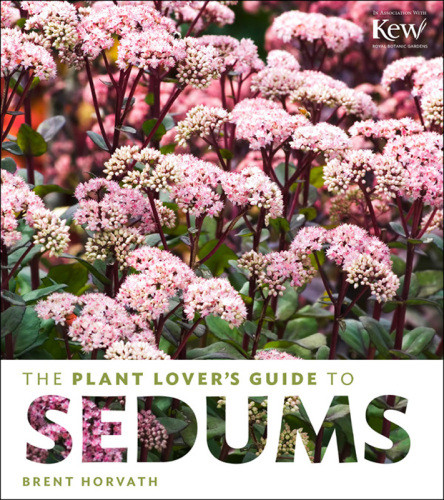 The Plant Lovers Guide To Sedums 1st Edition Brent Horvath