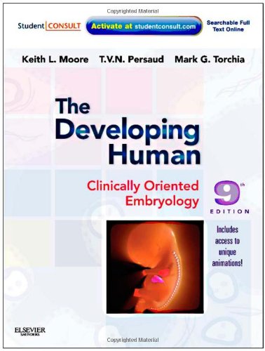 The Developing Human Clinically Oriented Embryology 9th Keith L Moore