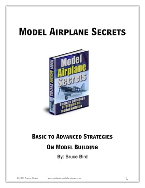Basic To Advanced Strategies On Model Building Bruce Bird