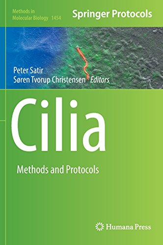 Cilia Methods And Protocols Peter Satir Sren Tvorup Christensen