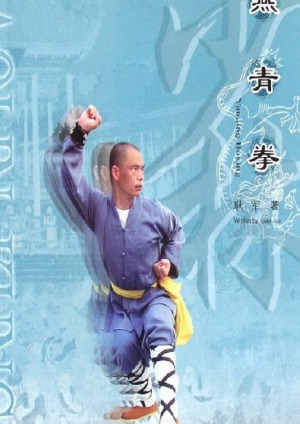 Yanqing Boxing Shaolin Kung Fu Geng Jun