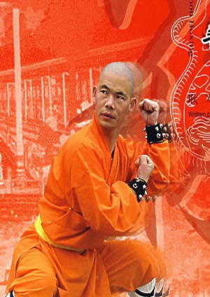 Cannon Boxing Shaolin Kung Fu Geng Jun
