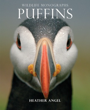 Wildlife Monographs Puffins Heather Angel
