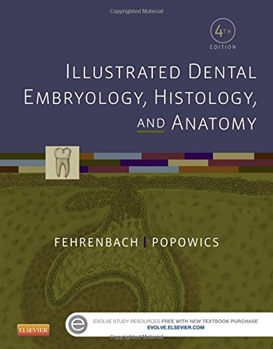 Illustrated Dental Embryology Histology And Anatomy 4e 4th Edition Margaret J Fehrenbach Rdh Ms