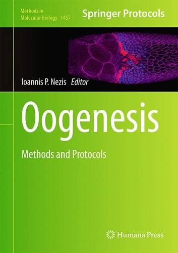 Oogenesis Methods And Protocols Ioannis P Nezis
