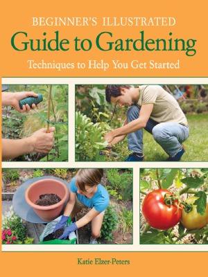 Beginners Illustrated Guide To Gardening Katie Elzerpeters
