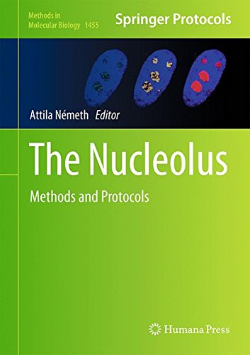The Nucleolus Methods And Protocols Attila Nmeth
