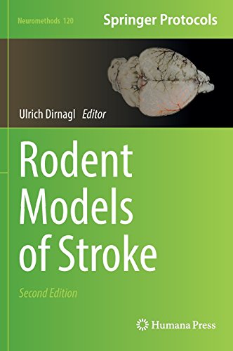 Rodent Models Of Stroke 2nd Ed 2016 Ulrich Dirnagl