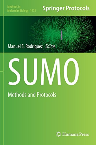 Sumo Methods And Protocols Manuel S Rodriguez